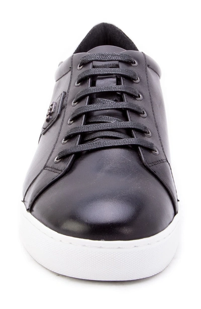Zanzara Scheffer Low Top Leather Sneaker In Black Leather