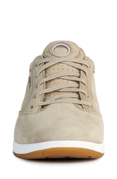Geox Aerantis Sneaker In Light Taupe Suede