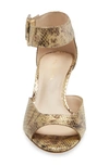 PELLE MODA BERLIN SANDAL