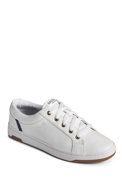 Sperry Charter Lace To Toe Sneaker In White