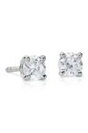 Suzy Levian 14k White Gold Diamond Stud Earrings In White