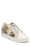 Vintage Havana Zenaib Snake Skin Print Tennis Shoe In Snake Multi
