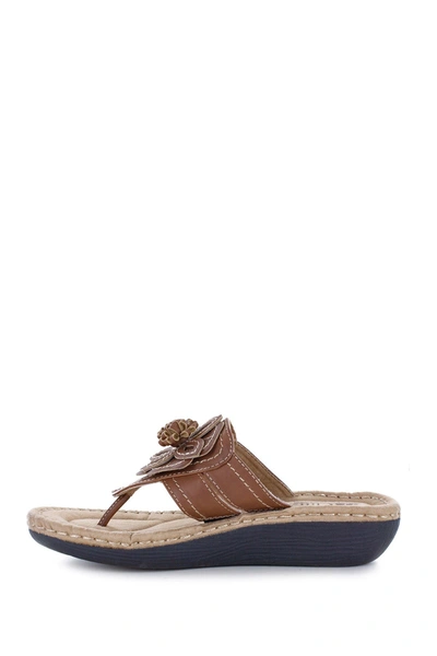 Cliffs By White Mountain Carnation Thong Comfort Sandal In Honey/smooth