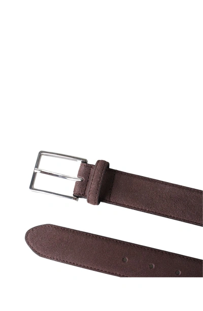 Px Remy Suede Leather 3.5 Cm Belt In Dark Brown