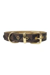 Dogs Of Glamour Evelyn Luxury Collar Brown