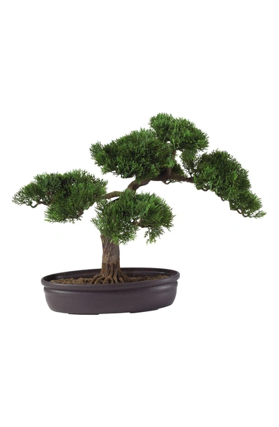 Nearly Natural 16” Cedar Bonsai Tree In Green