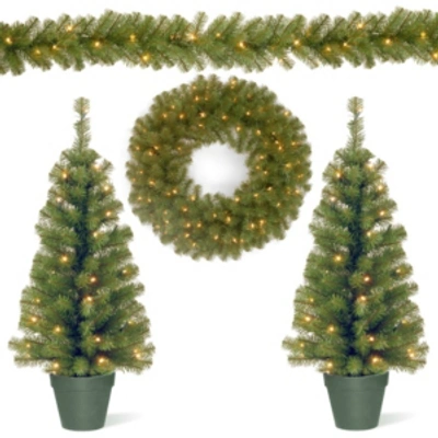 National Tree Company National Tree Promotional Assortment With Battery Operated Led Lights In Green