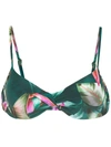 Lygia & Nanny Fiji Leaf-print Bikini Top In Grün