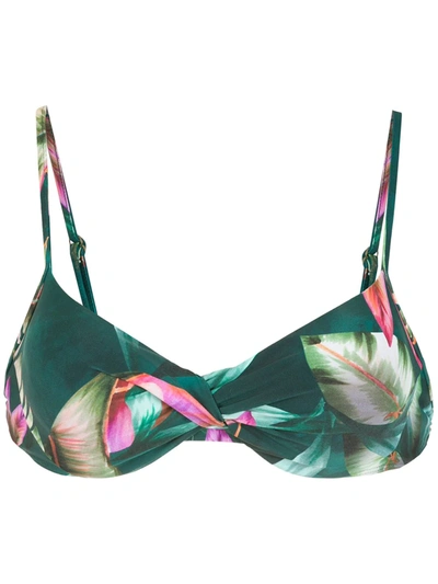 Lygia & Nanny Fiji Leaf-print Bikini Top In Grün