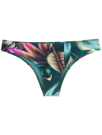 Lygia & Nanny Leaf-print Bikini Bottoms In Grün