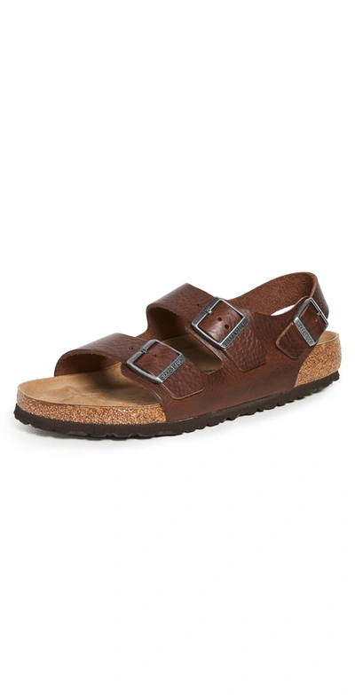 Birkenstock Milano Regular Sandal Vintage Wood Roast In Dark