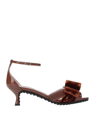 Tod's Sandals In Brown