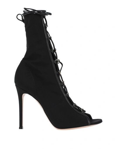 Gianvito Rossi Ankle Boots In Black