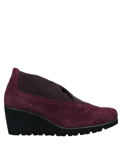 Melluso Pumps In Mauve