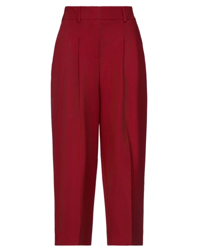 Pt Torino Pants In Brick Red