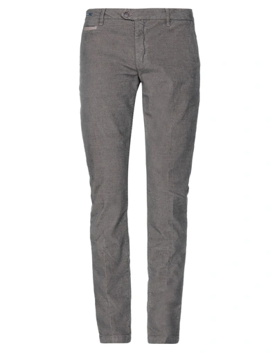 Teleria Zed Casual Pants In Grey