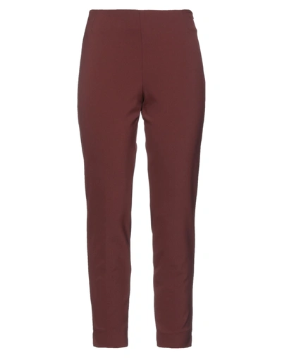 Maliparmi Pants In Brown