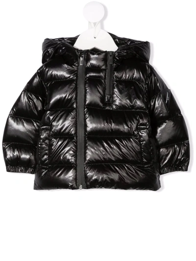 Emporio Armani Babies' Padded Down-filled Jacket In Black