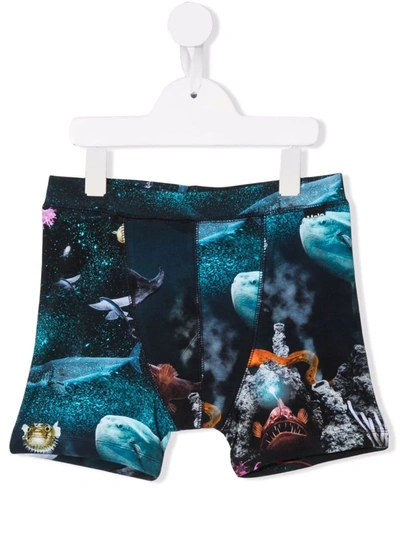 Molo Teen Graphic-print Swim Shorts In Blue