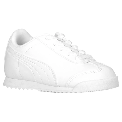 Puma Kids' Boys  Roma In White/light Grey