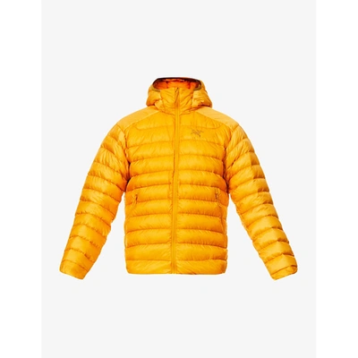 Arc'teryx Cerium Lt Padded Hooded Shell-down Jacket In Quantum