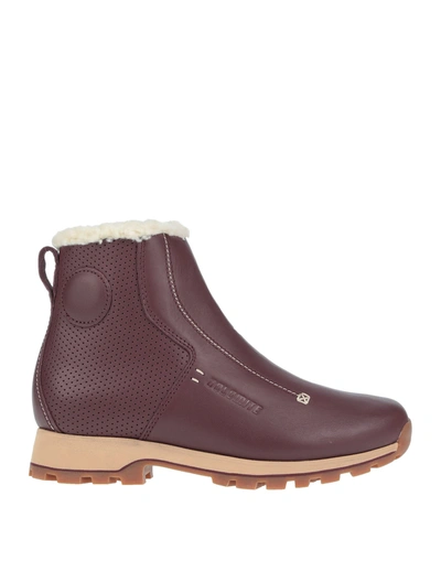 Dolomite Ankle Boots In Maroon