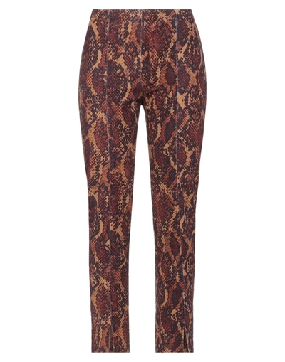 Pt Torino Pants In Brown