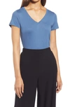 Nordstrom Everyday V-neck T-shirt In Blue Ensign