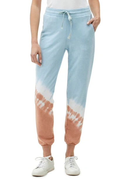 Michael Stars Ray Relaxed Jogger Pants In Earth Combo