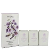 Yardley London English Lavender By  3 X 3.5 oz Soap 3.5 oz
