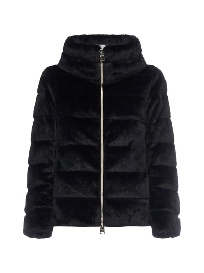 Herno Padded Puffer Jacket In Black