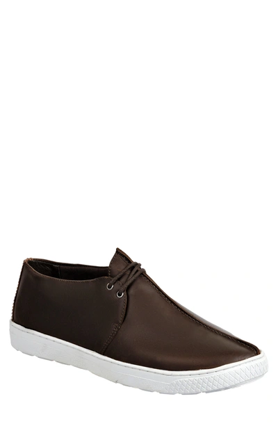 Sandro Moscoloni Casey Oxford In Brown