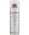 Kenra Professional Perfect Medium Spray 55% 13, From Purebeauty Salon & Spa