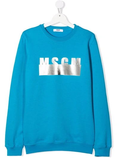 Msgm Teen Metallic Logo-print Sweatshirt In Blue