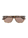 Ray-ban Junior New Wayfarer Sunglasses In Brown