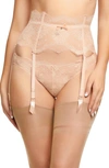 Dita Von Teese Metallic Lace Garter Belt In Vintage Peach