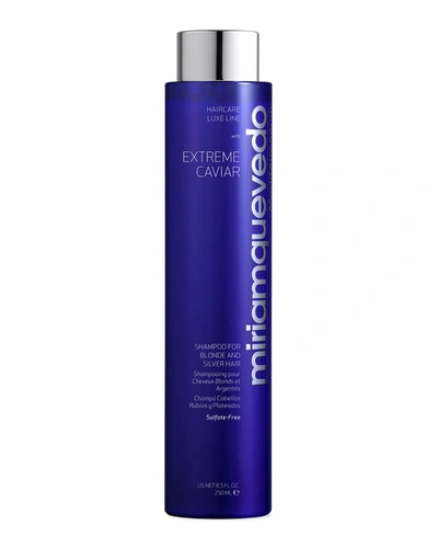 Miriam Quevedo 8.5 Oz. Extreme Caviar Shampoo For Blonde And Silver Hair