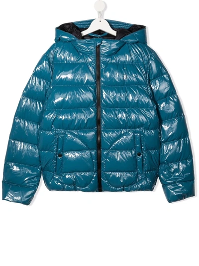 Herno Kids' Padded Hooded Jacket In Blue