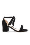 Alexandre Birman Clarita Bow-embellished Suede Sandals In Black Suede