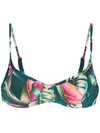 Lygia & Nanny Cassis Leaf-print Bikini In Grün