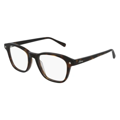 Brioni Br0087o Eyewear In Havana Havana Transpa