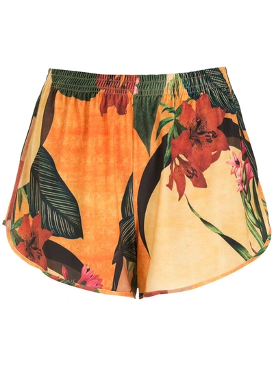 Lygia & Nanny Lee Floral-print Shorts In 黄色