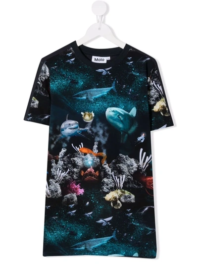 Molo Kids' Graphic-print Organic Cotton T-shirt In 蓝色