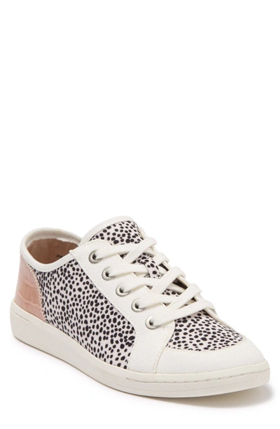 Dolce Vita Nolie Lace-up Sneaker In B/w Spotted Canvas