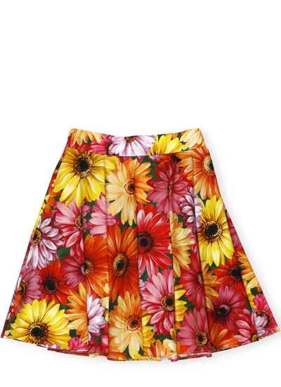 Dolce & Gabbana Midi Skirt With Gerbere Print In Pink