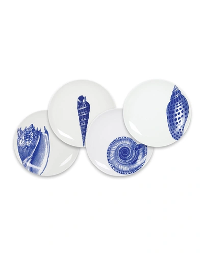 Caskata Shells Blue Canapes Plates, Set Of 4