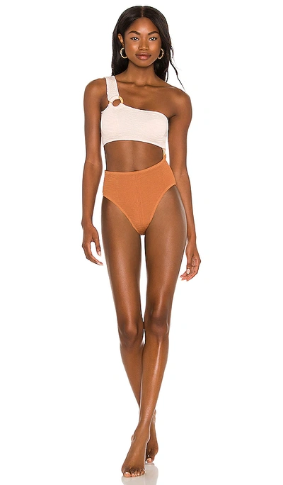 Cleonie Shell One Piece In Espresso & Natural