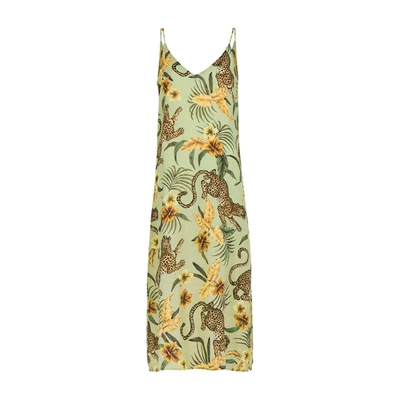 Desmond & Dempsey Soleia Printed Cotton Nightdress In Green