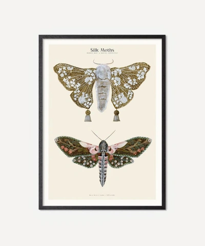 Pstr Studio Unframed Silk Moths No.1 Print In Assorted
