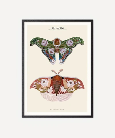 Pstr Studio Unframed Silk Moths No.2 Print In Assorted